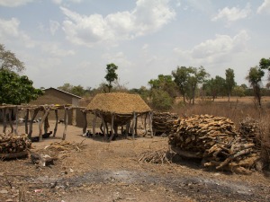 biomass